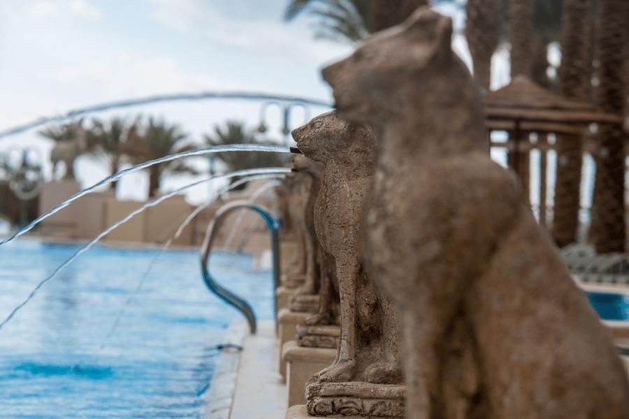 בריכה | הרודס פאלאס