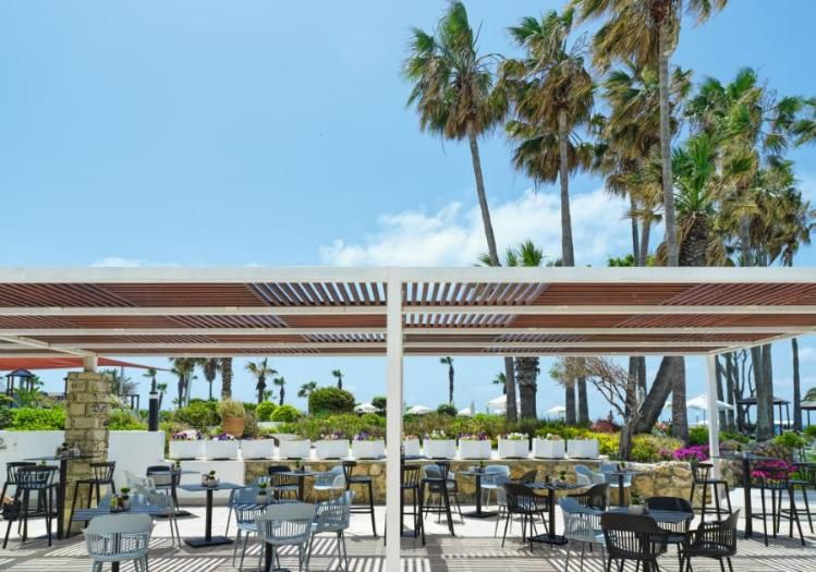 בר בריכה Thetis