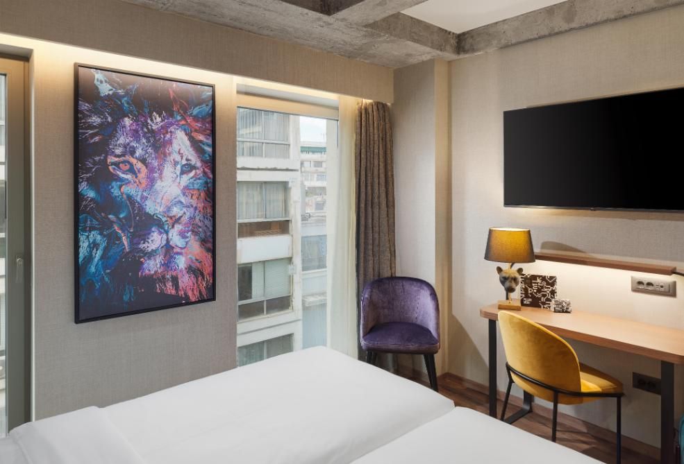 חדר סופריור Down to Earth