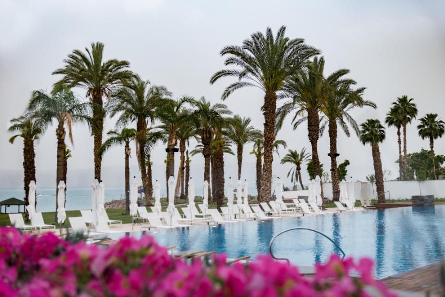 בריכת המלון