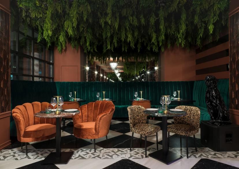 Panther ביסטרו