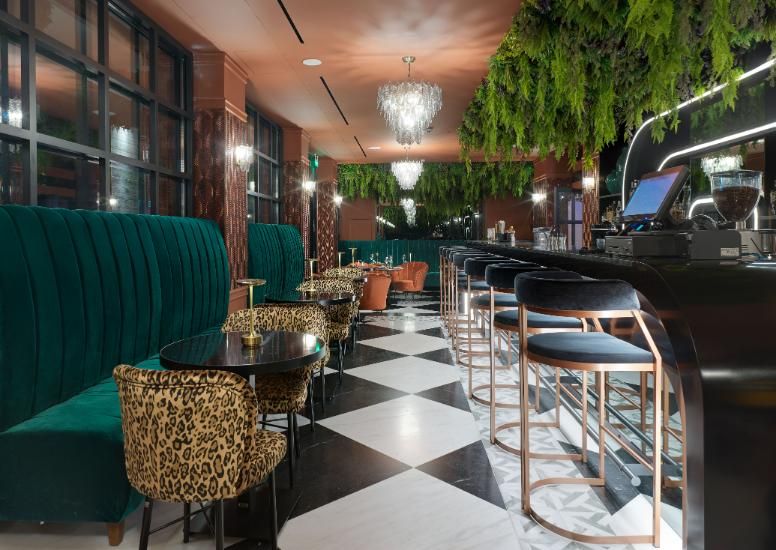 Panther ביסטרו