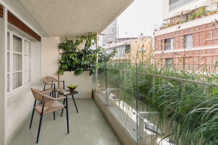 סוויטת ג'וניור